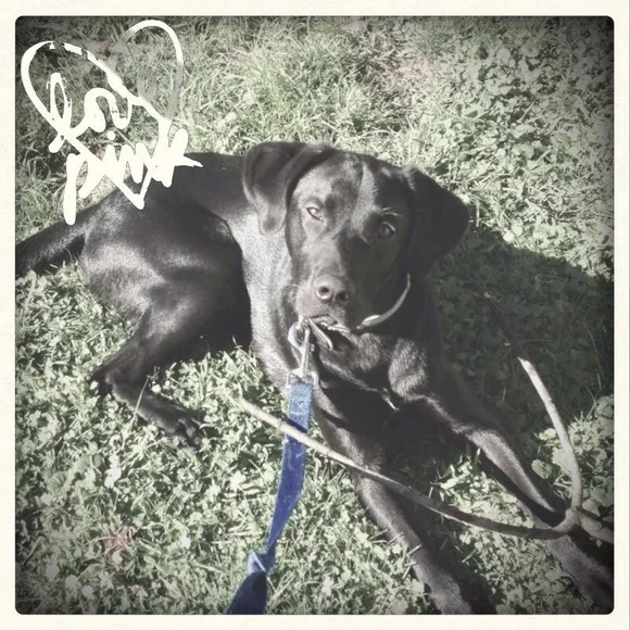 NOT FOR SALE - Picture 5 of 10